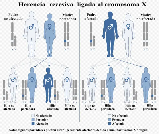 Típico Canal de Encuestas [Almacén]