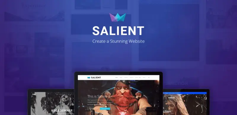 Salient v16.0.4 - Theme nghệ thuật đa năng -
