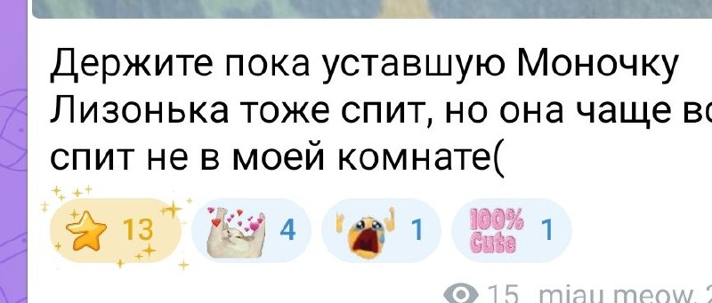 Закидали котьку звездочками***😣***