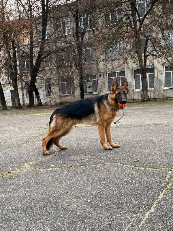 кароче по занимались чуток, сбегали в …