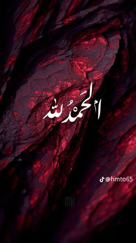 📚 العلم الشرعي 📚