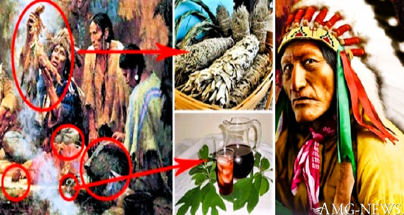 Segreti dei rimedi erboristici dei nativi americani | 31 Cure medicinali dei nativi americani a lungo dimenticate
