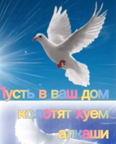 тюбик🎃
