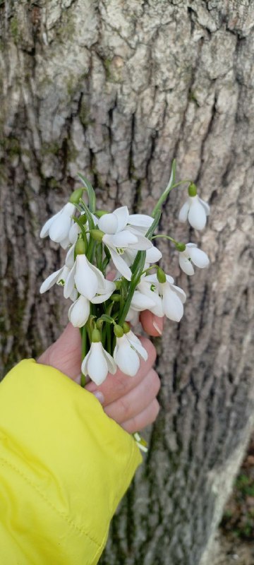 И даже зимой лес прекрасен ***🌲*** …