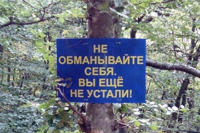 насрано.