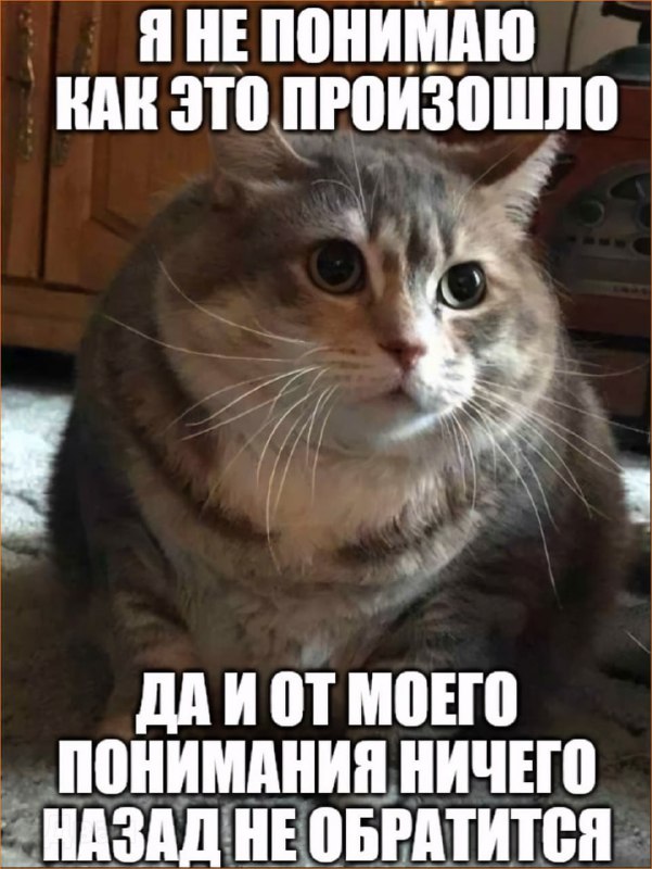 Тохины репосты