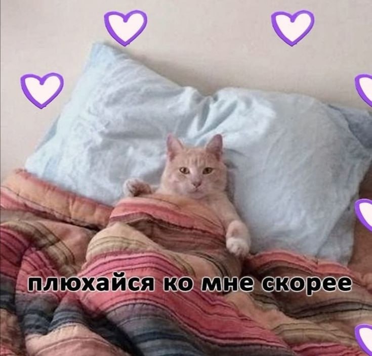 Тохины репосты