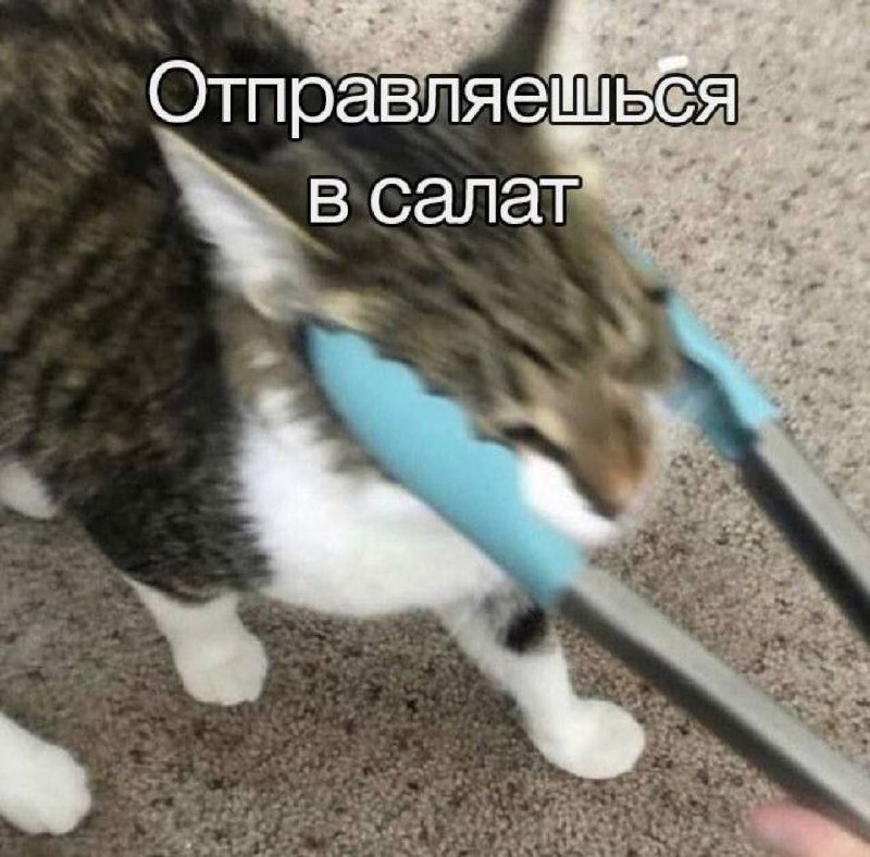 Тохины репосты