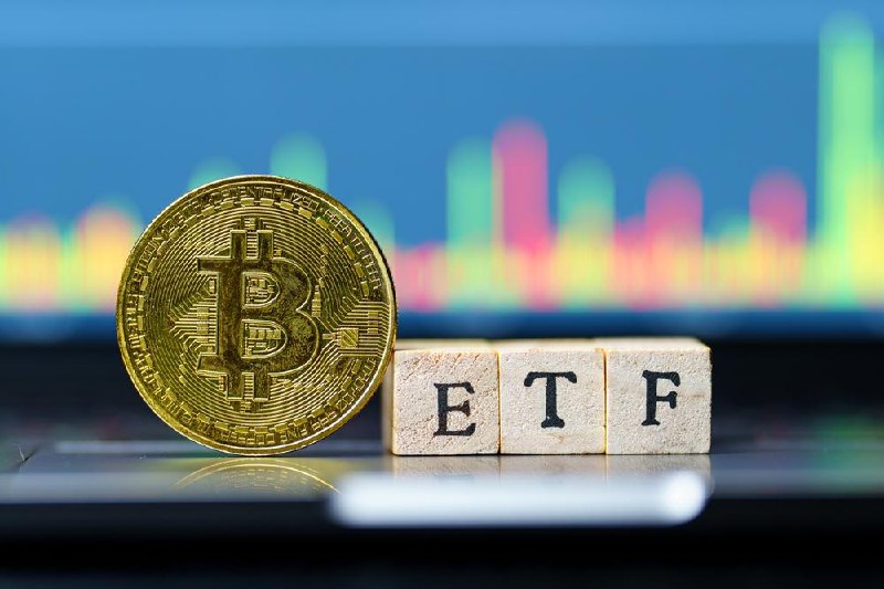 **美 에머리대학교, 비트코인 ETF 주식 1억8천만원 …