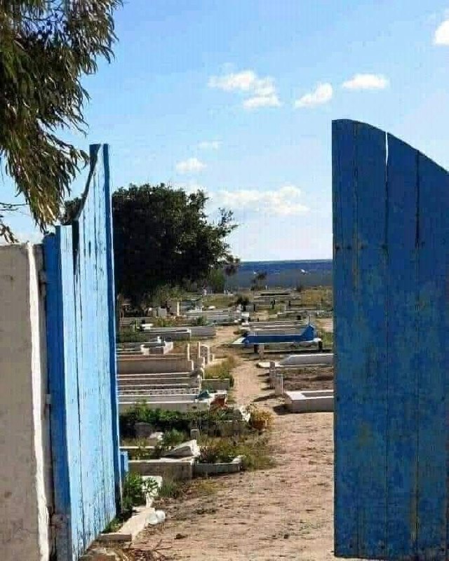 أين الجمالُ وأين اللونُ والنسبُ؟