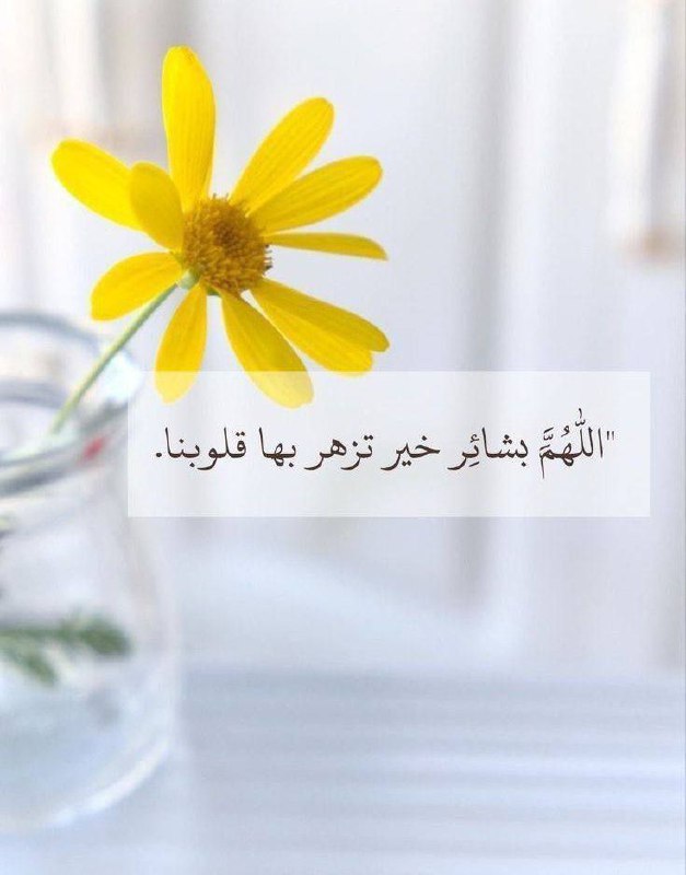 طمأنينة