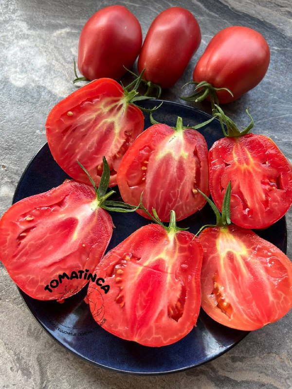 Tomatinca