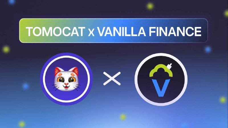 ***😉*** **TOMOCAT X VANILLA FINANCE** ***👩‍❤️‍👨***