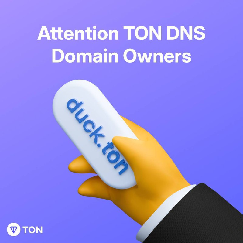 **Увага власникам TON DNS**