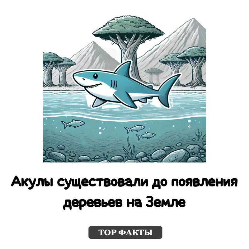 ***😀***[**Top факты**](https://t.me/topfacktsn)