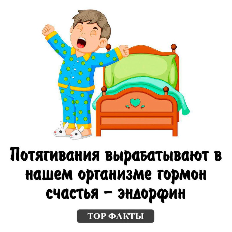 ***😀***[**Top факты**](https://t.me/topfacktsn)