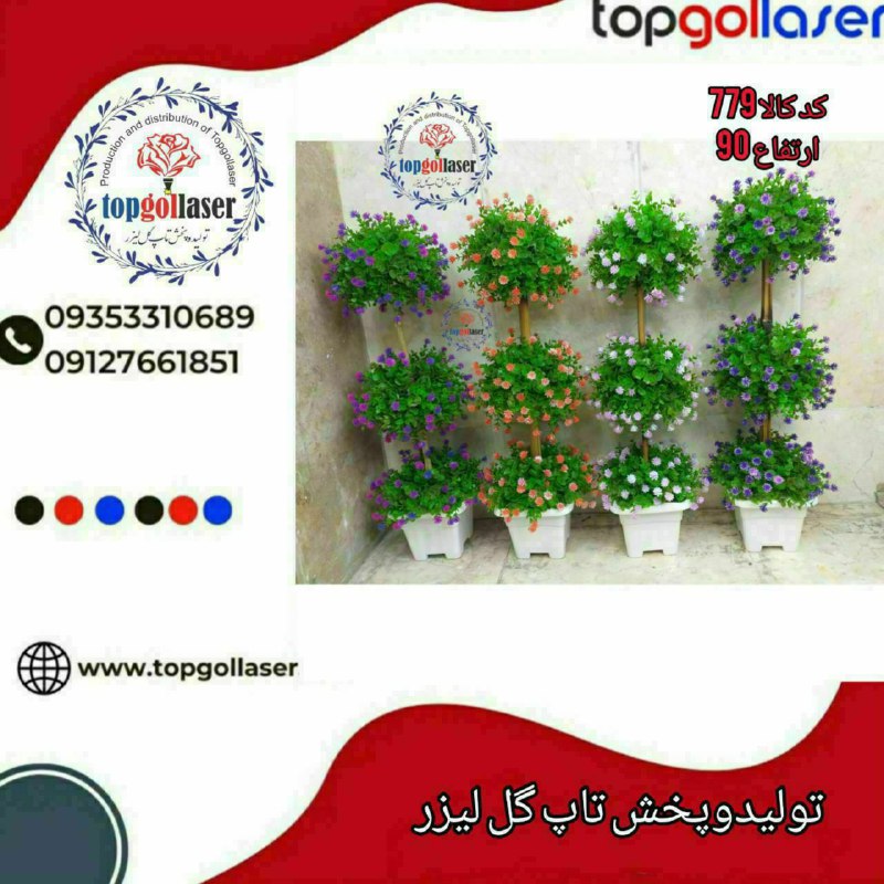 ***?***نام محصول:درختچه کنجي شمشاد سرگل کاکتوس3طبقه …
