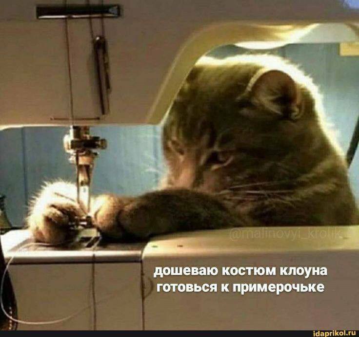 ВОДОЛЕЙ, 10 января. Тебе костюм клоуна …