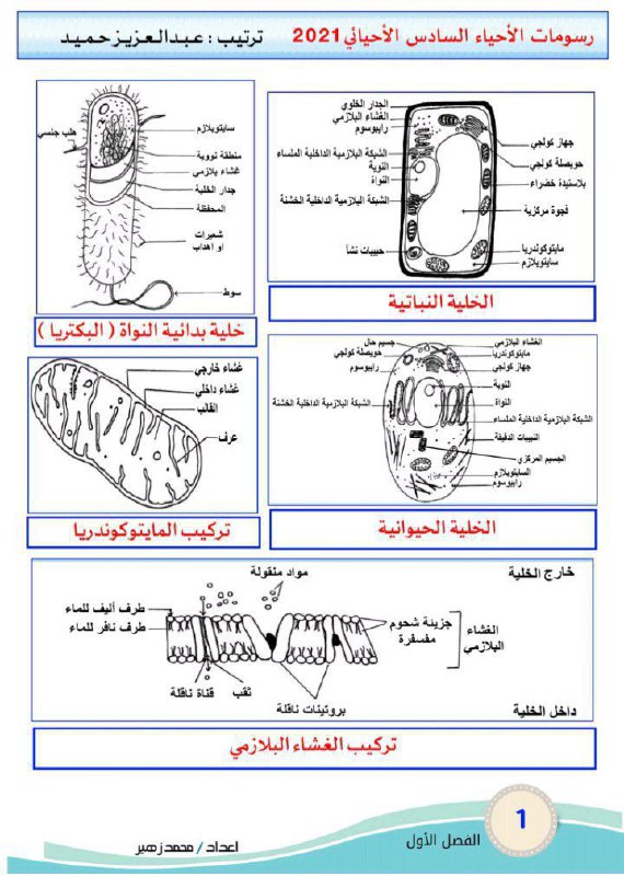 السادس علمي _ السادس الاعدادي 2026