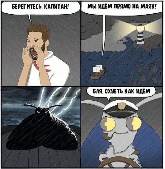 Щитпост с Тореза
