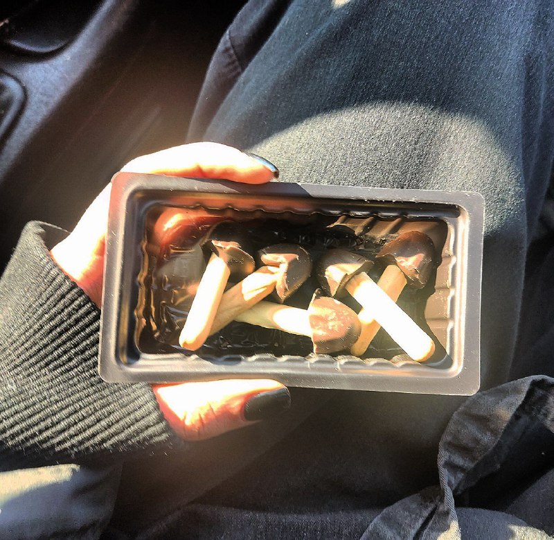 ⁮⁮⁮⁮⁮⁮⁮⁮⁮⁮⁮⁮⁮⁮⁮⁮𑂱