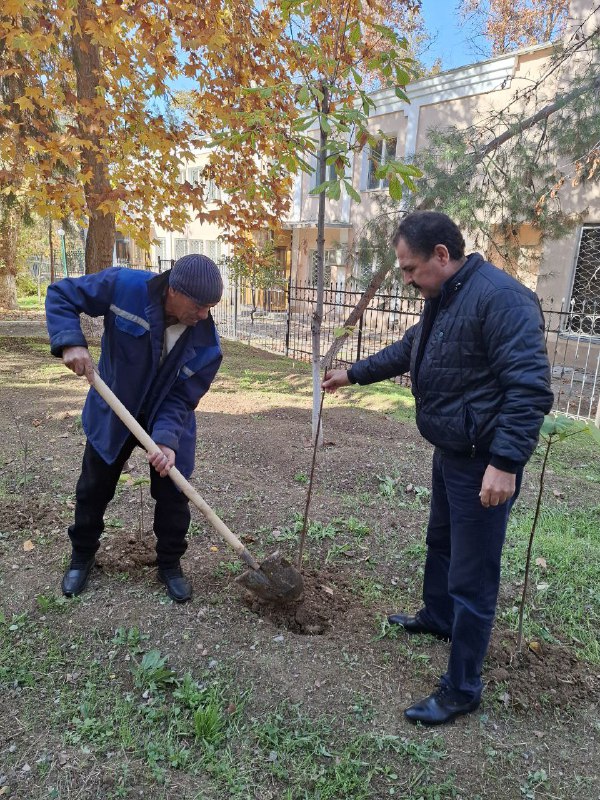 TOSHKENT SHAHAR YURIDIK TEXNIKUMI