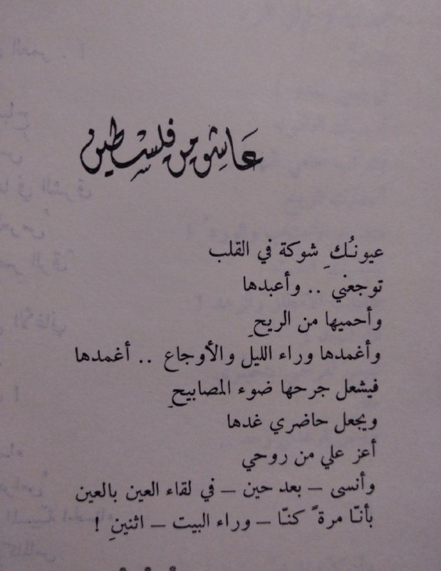 - تـــوت 𝑇𝑜𝑡 ✨ .