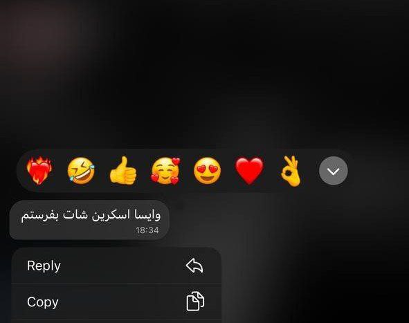 و از اینجا به بعد "غیبت" …