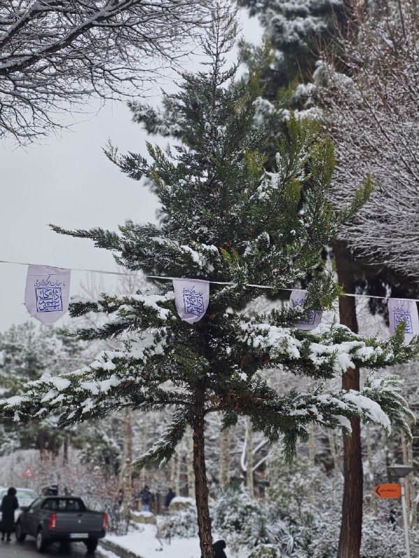 \_امروزِ قشنگ ***❄️***