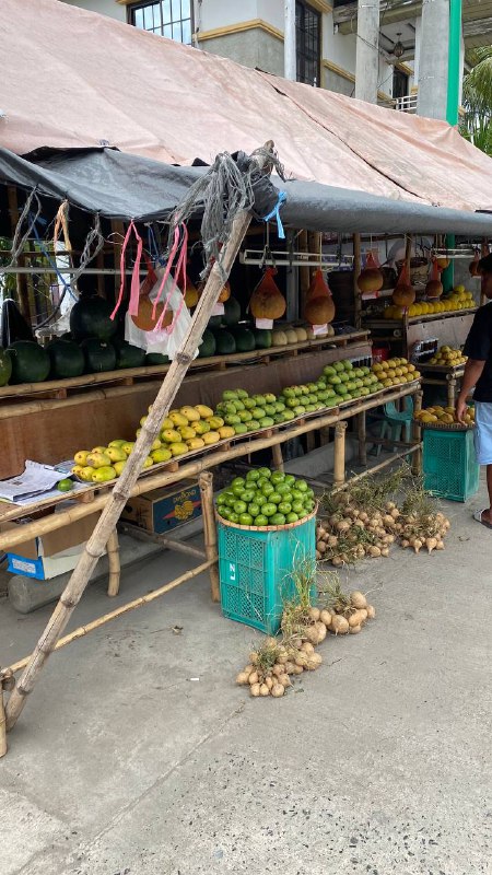 قناه المعلومات Philippines 🇵🇭