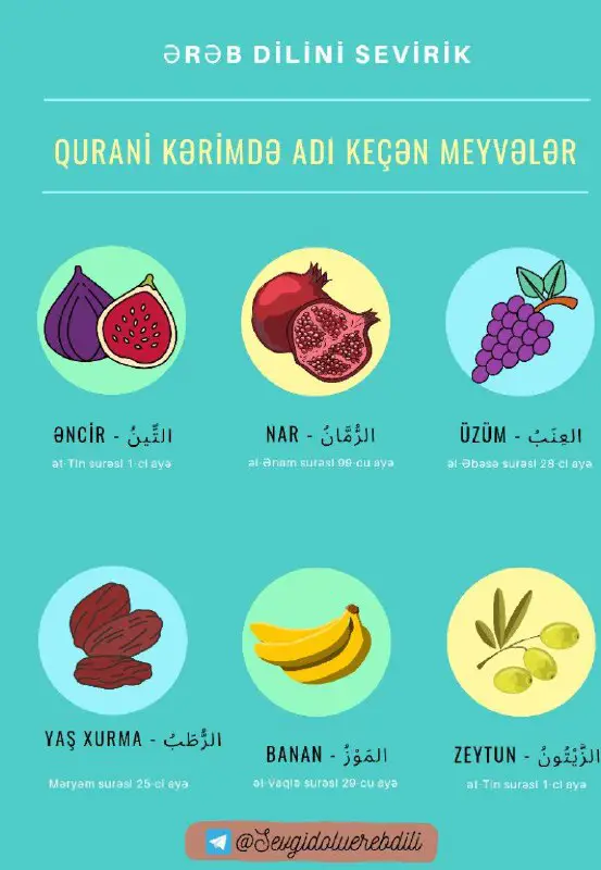 Quranda adı keçən meyvələr