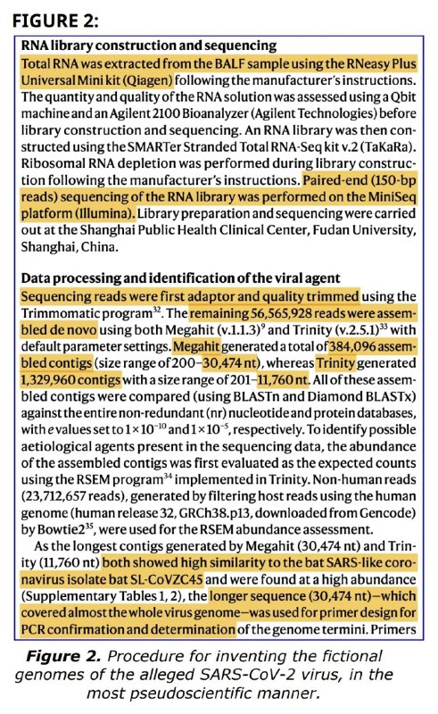 Read my report: