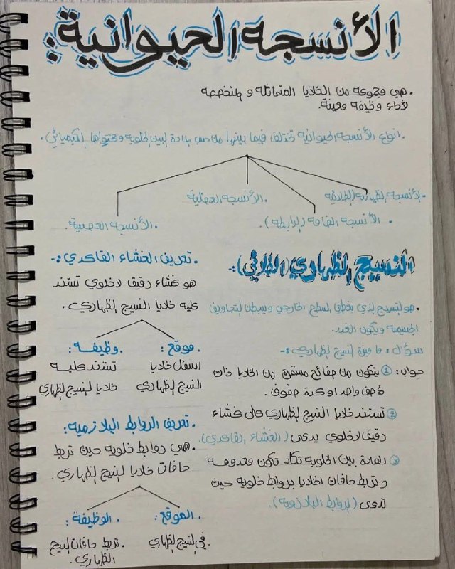 سادسيون ❤️