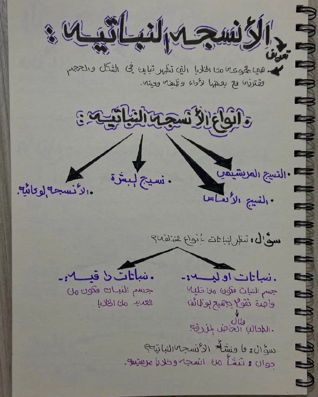 سادسيون ❤️