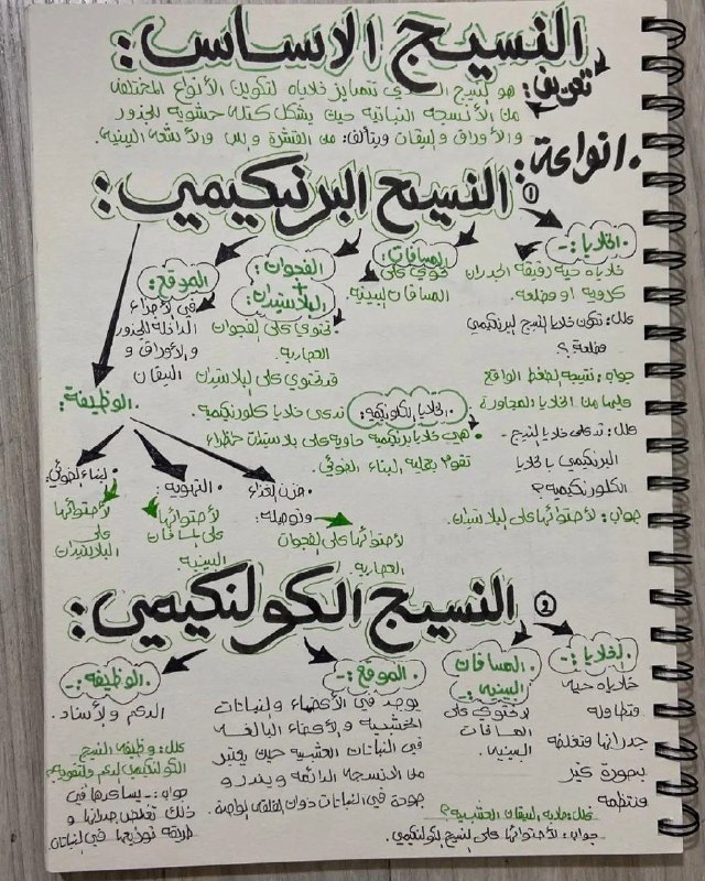 سادسيون ❤️