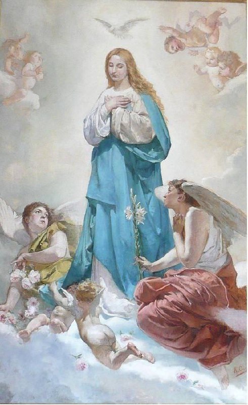 •Happy Feast of the Immaculate Conception***🌹***•