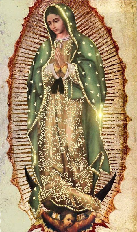 **• Happy feast of Our Lady …