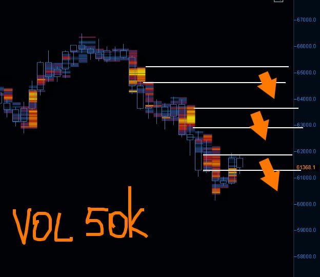 Trading Algorithms | Solution for traders