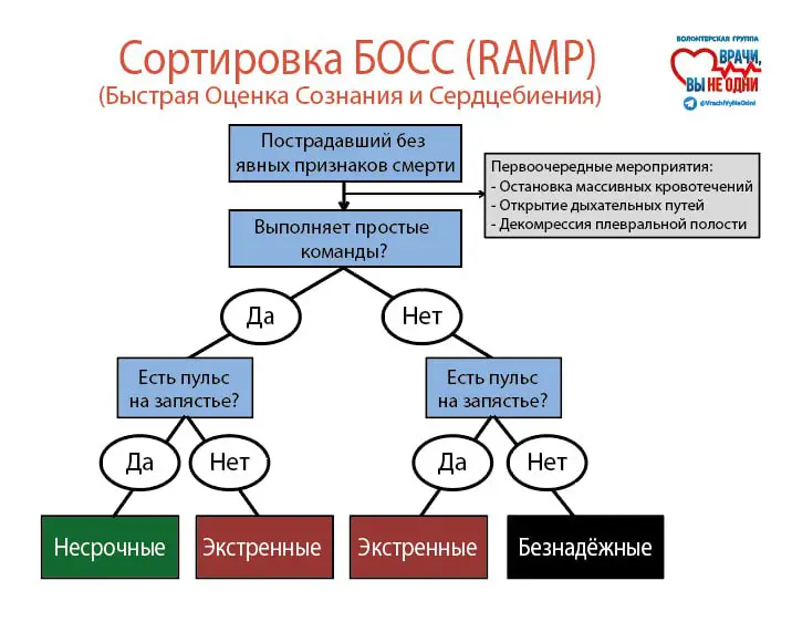 **Сортировка пострадавших БОСС**