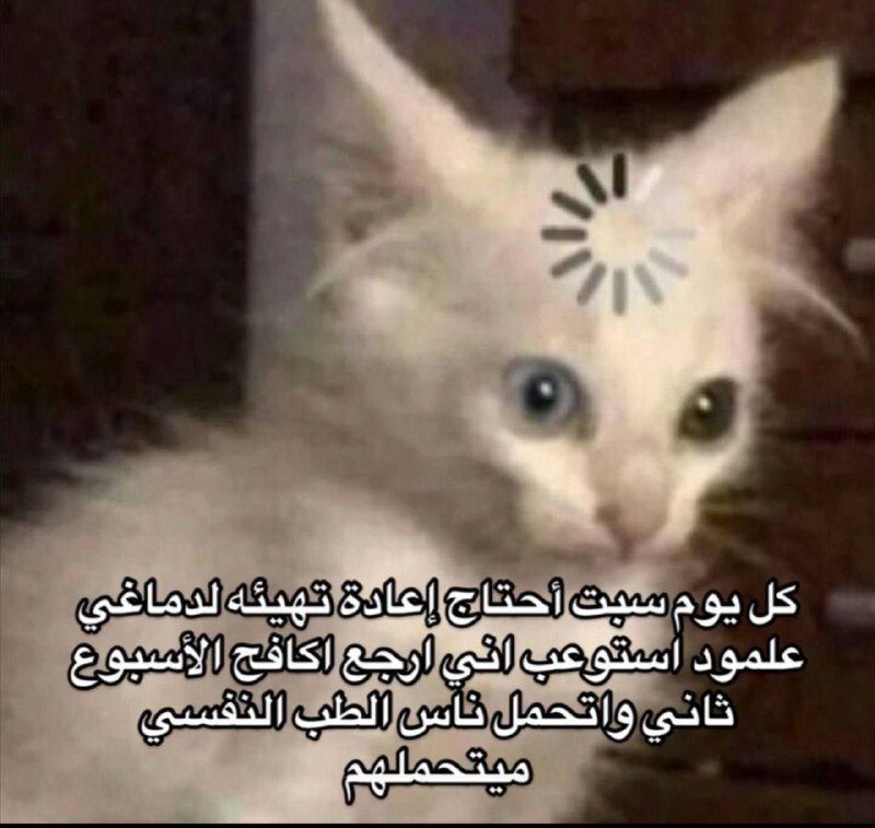 ***?******?***
