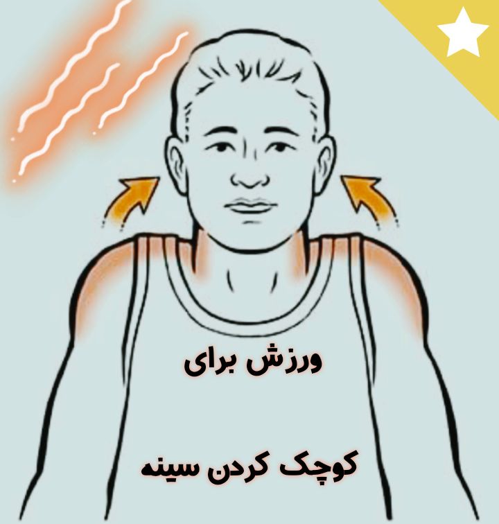 ***?***ورزشی برای کوچک کردن سینه ها: