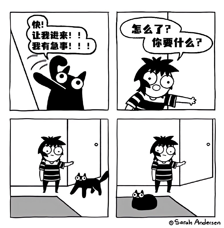 让我进来！ [source](https://twitter.com/SarahCAndersen/status/1791853860744499408)