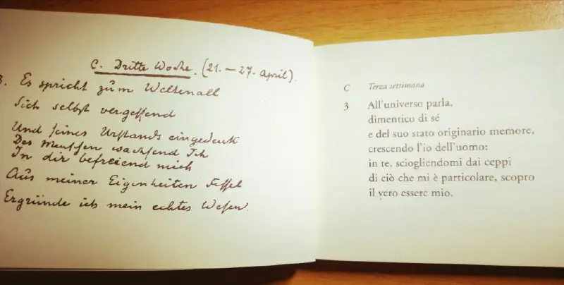 [Dagli appunti di Rudolf Steiner](https://sfero.me/thought/caro-giu-thought-1713885397498) ~ buona settimana ***😊***