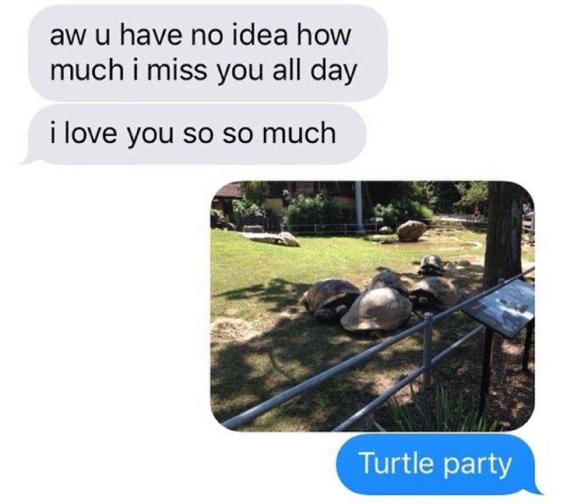 LA TRATRARUGA