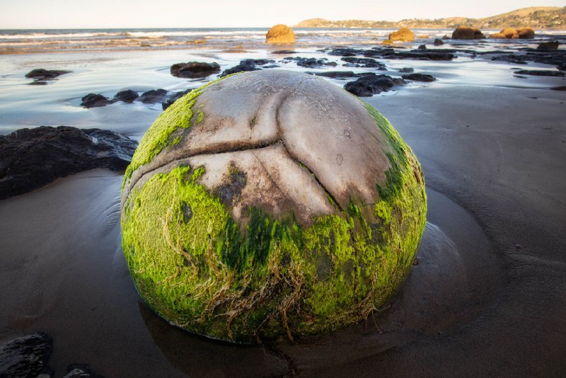 **En esta playa de Nueva Zelanda …