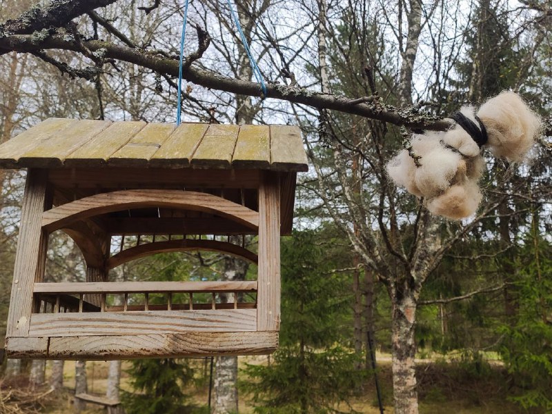 Посадить 🌳, вырастить дочь