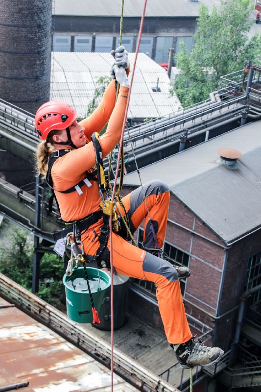 Арбористика Tree-Work.ru