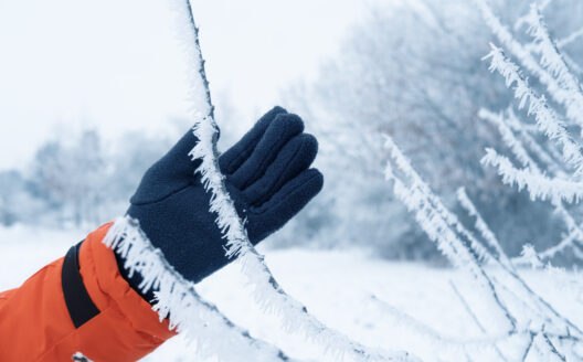 ***❄️******?*** Nelle escursioni invernali le mani …