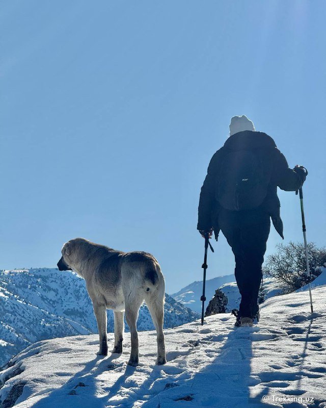 Trekking Uzbekistan