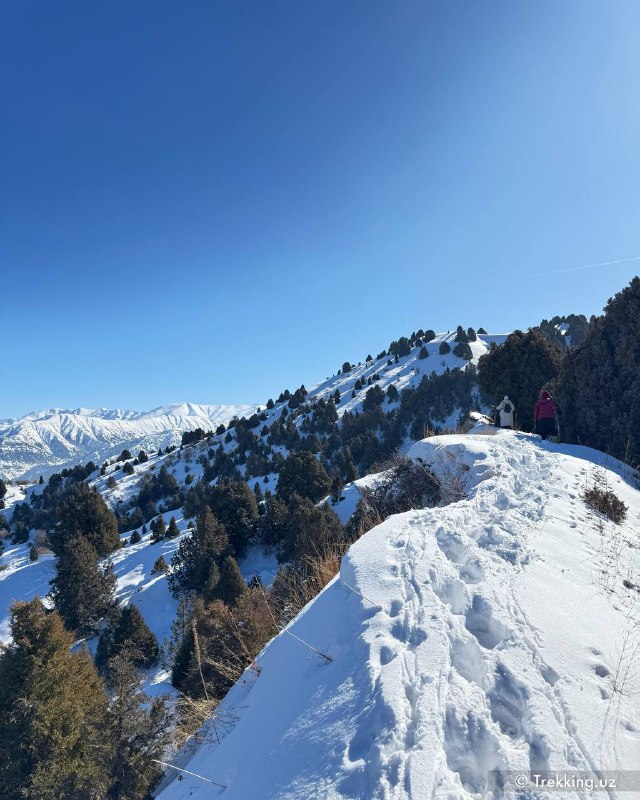 Trekking Uzbekistan